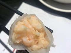 虾饺-糖朝(尖沙咀店)