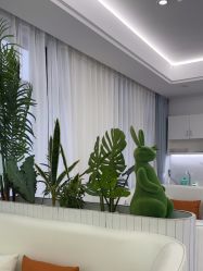 -白月光皮肤管理·德国LDM
