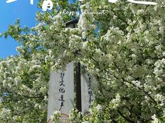 -海棠花溪(元大都城垣遗址公园)