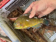 -老字号蛇口德记烧腊饭店·海鲜加工