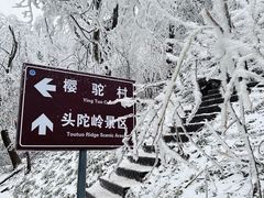 -紫金山山顶公园