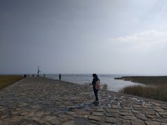 -南汇嘴观海公园