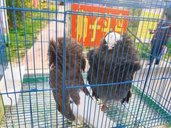 -渭南桃花源民俗文化园