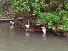 -兰亭风景区