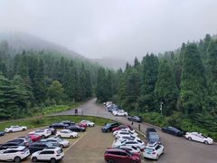 -武陵山森林公园
