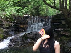 -朝阳沟