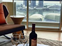 -新加坡瑞士史丹福酒店