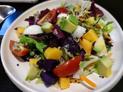 -猫小院猫主题咖啡厅(北锣店)