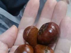 -栗满秋(燕丰西坝河店)