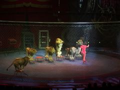 -珠海横琴长隆《卡卡虎奇遇记》