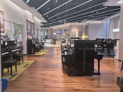 -知音艺术教育培训·钢琴培训·音乐培训(河西金鹰世界校区)