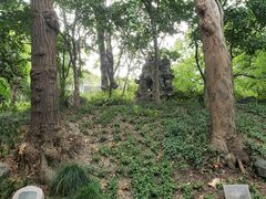 -秋霞圃