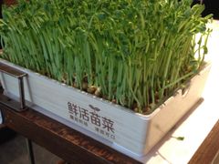 -捞神煲汤火锅(湖滨商业街店)