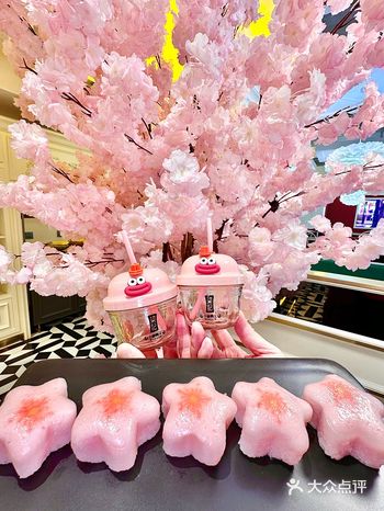 樱花季北京海淀！钱包友好的氛围感餐厅️