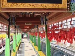 -皇家御河游(紫御湾码头)