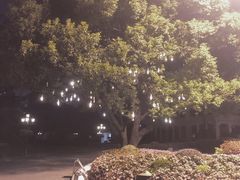 -上海兴国宾馆香樟园西餐厅