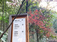 -融汇温泉