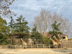 -上海野生动物园