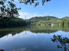 -深圳仙湖植物园