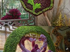 -杭州植物园