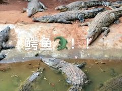 -海南热带野生动植物园