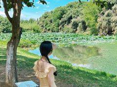 -艾溪湖湿地公园