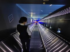 -白鹤梁水下博物馆