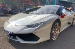 -蚂蚁婚车