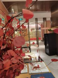 -盘子女人坊古装写真摄影(南京总店)