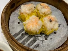 -彩福皇宴(皇室堡店)