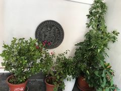 -柳沟豆腐宴64号院