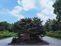 -黄兴公园
