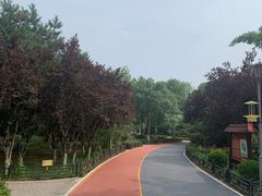 -大兴滨河森林公园