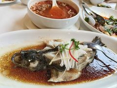 -红杏酒家·地道川菜(一品天下店)