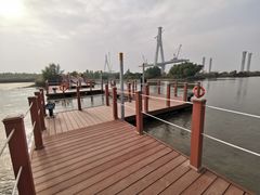 -芒洲湿地公园