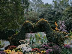 -杭州植物园