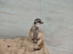 -海合安武汉极地海洋公园