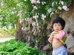 -白鹭湾湿地公园