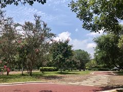 -鹤之洲湿地公园