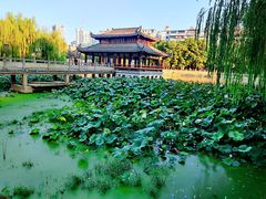 -孺子亭公园