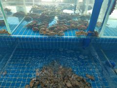 -必点蒸汽海鲜(止锚湾店)