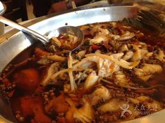 iphone_upload_pic-渝信川菜(工体店)