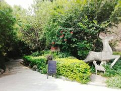 -金鸡山公园