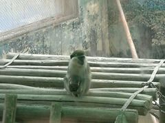 -成都动物园
