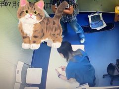 -佩兹宠物医院肿瘤专科·眼科·牙科(黄浦店)
