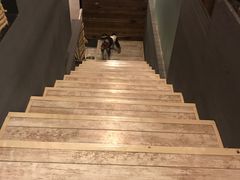 -百好乐宠物友好餐厅(朝外大街店)