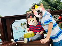 -石梅湾艾美度假酒店