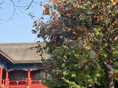 -北京石刻艺术博物馆(五塔寺)