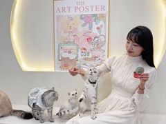 -共舞时光猫咖·狗咖(新街口店)