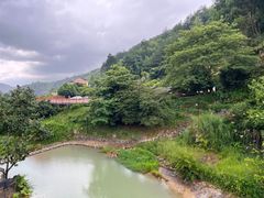 -初溪土楼群